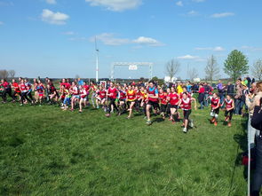 米兰体育联赛-青少年体育运动社会支持系统研究，青少年体育运动社会支持系统研究现状