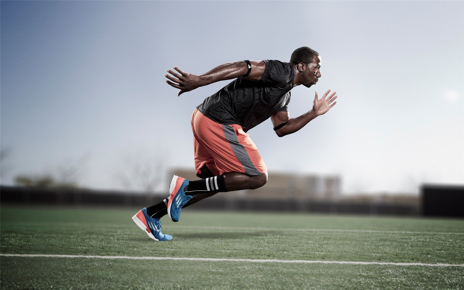 高校体育专业课程体系优化与改革,国内高校体育课程现状