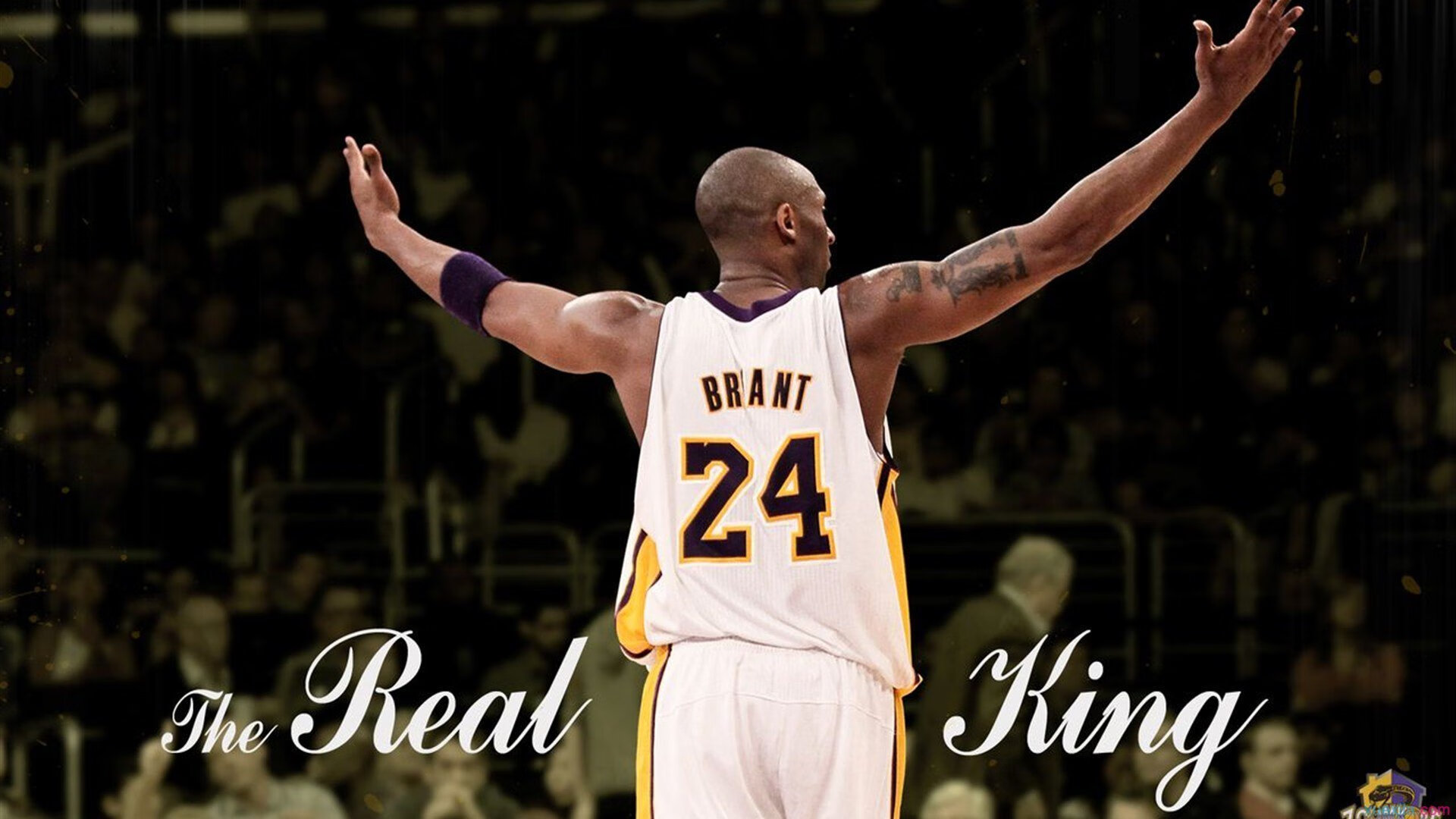 球员职业规划缺失,职业球员的素养