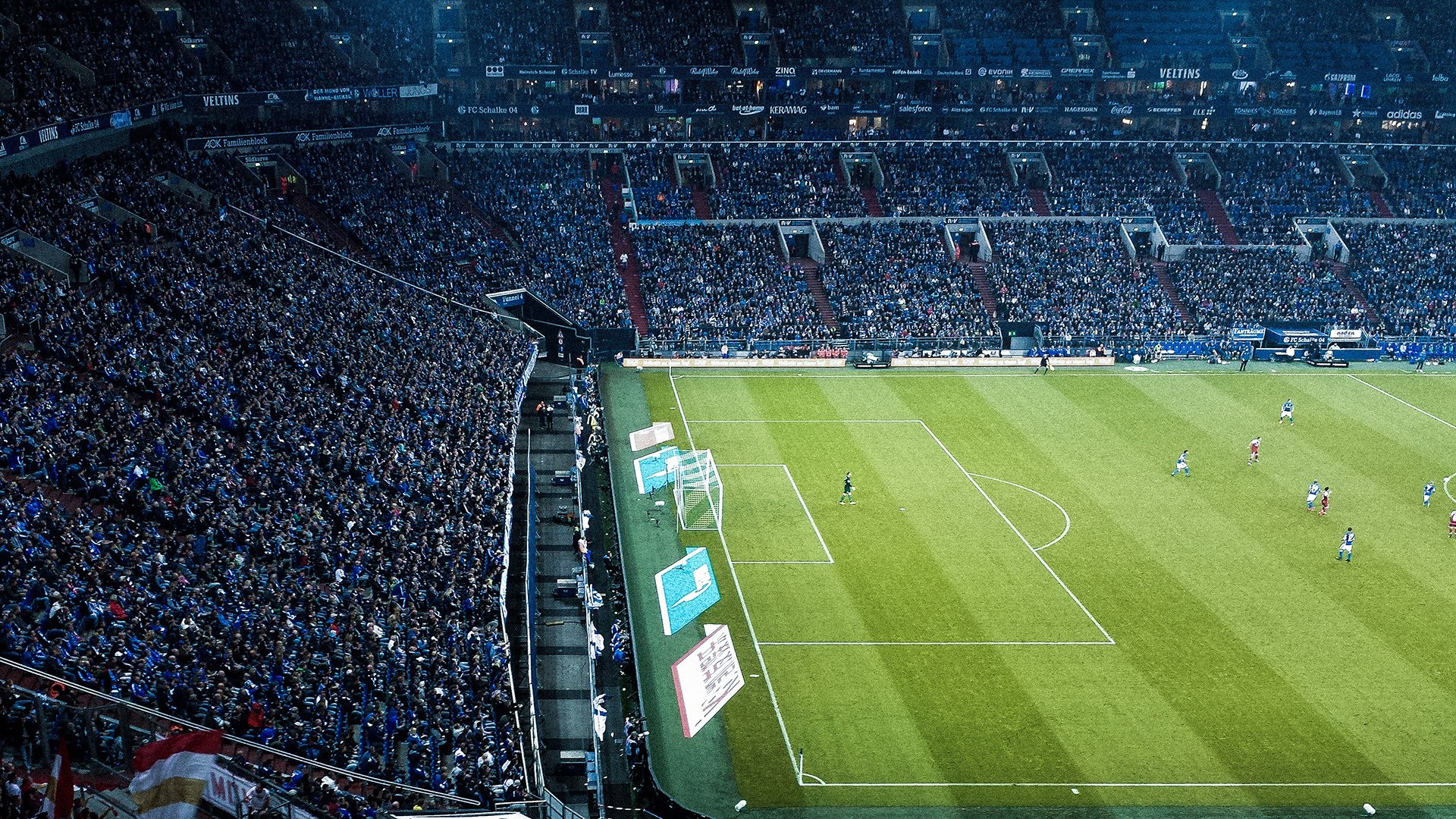 职业拳击挑战赛落幕 本土选手斩获胜利,职业拳击争霸赛