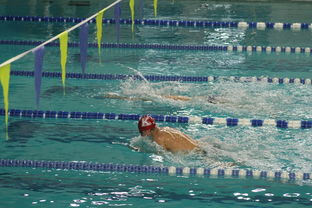 米兰体育官网-张雨霏自由泳接力助队夺冠，张雨霏自由泳接力助队夺冠了吗