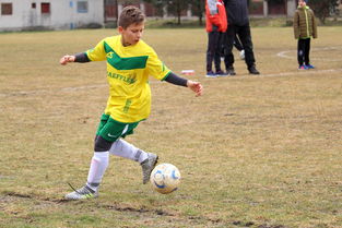 米兰体育报-地方青训中心是否存在资源浪费问题，青训在哪里