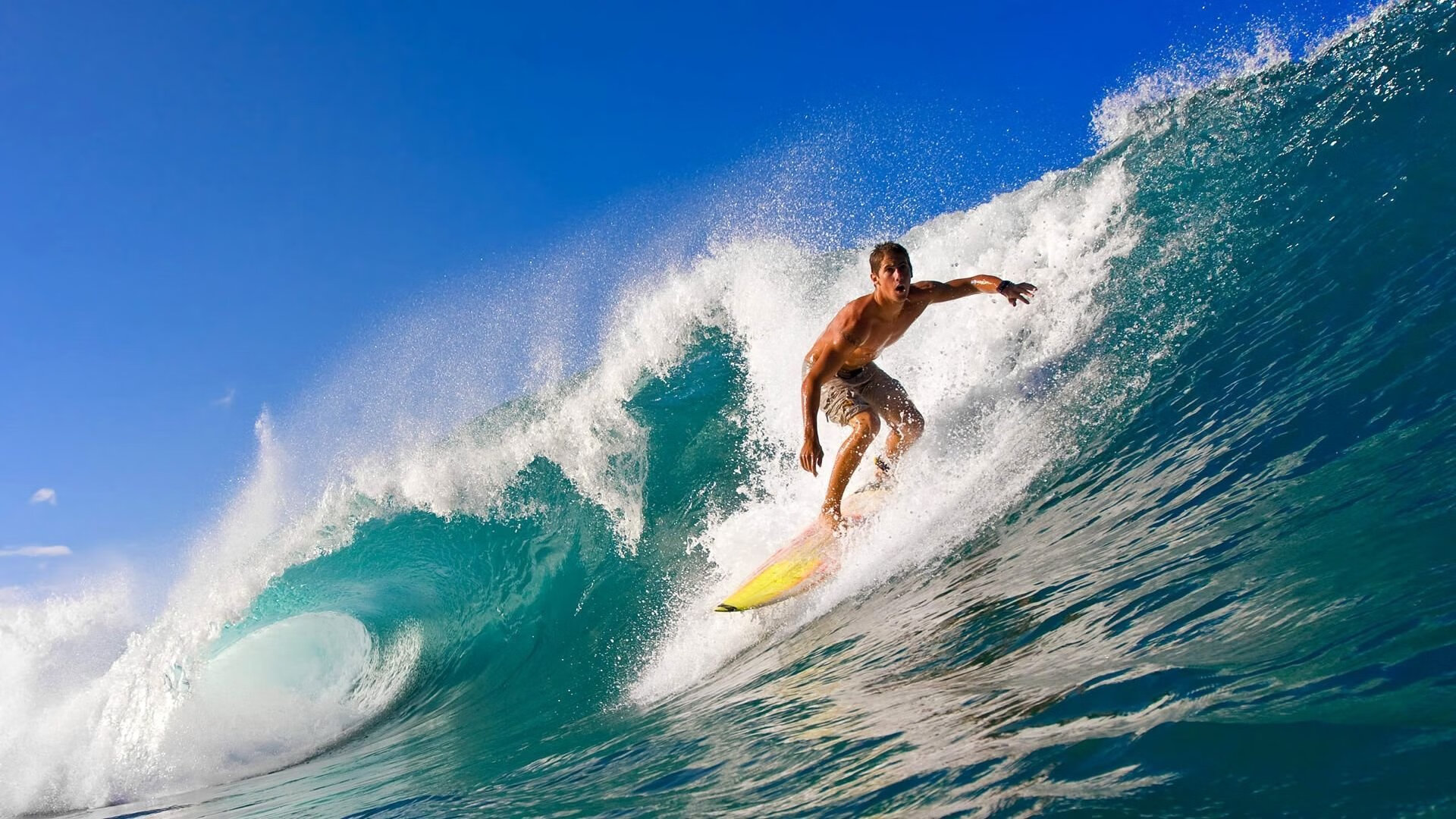 宋晓波如何运用心理韧性实现巅峰反转