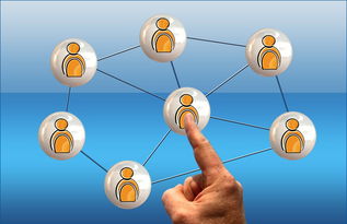 米兰体育在线-冠军球队社会责任项目获社区高度评价与广泛参与，冠军组织的定义